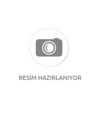 Fisher Price Eğitici Eğlenceli Tuvalet (Türkçe)